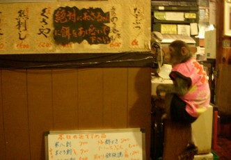 Not only the cat cafes! Summary of interesting izakaya pubs and cafes where you can be enteretained by animals.