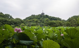 A Visit to the Sankeien Garden, Yokohama