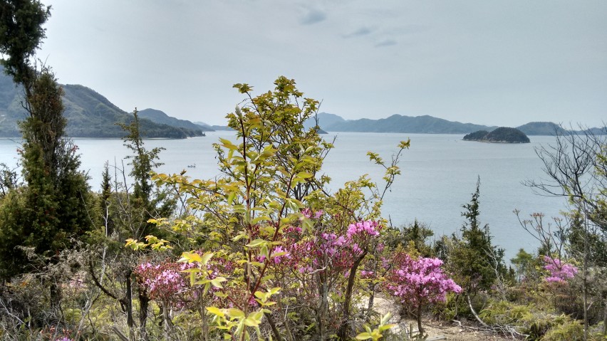 8 - Okunoshima Sea view_CM