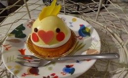A Visit to the Kotori Bird Cafe in Tokyo