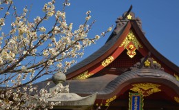 Okazaki: The Home of the First Tokugawa Shogun