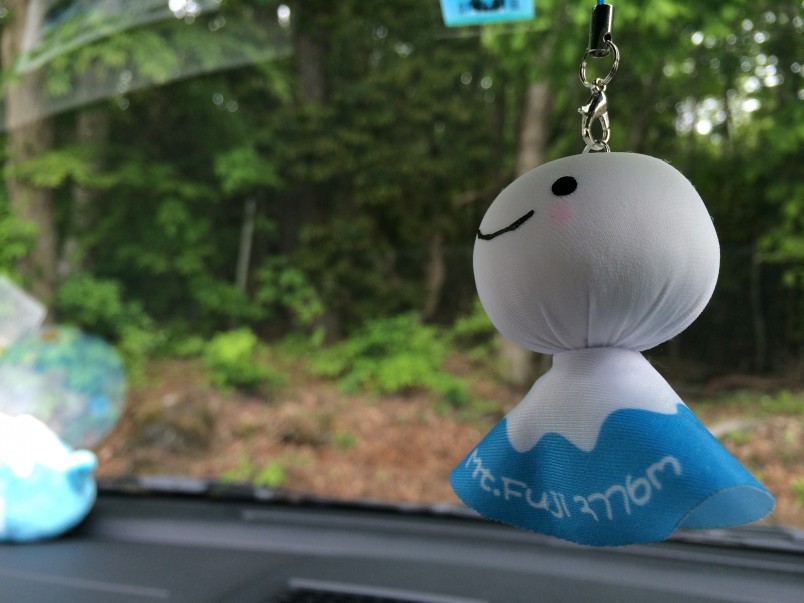 14576337112_61edc21f58_o