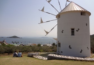 A Taste of Beauty and Olives on Shodoshima