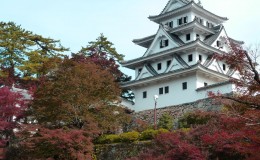 Momiji Festival at Gujo Hachiman Castle
