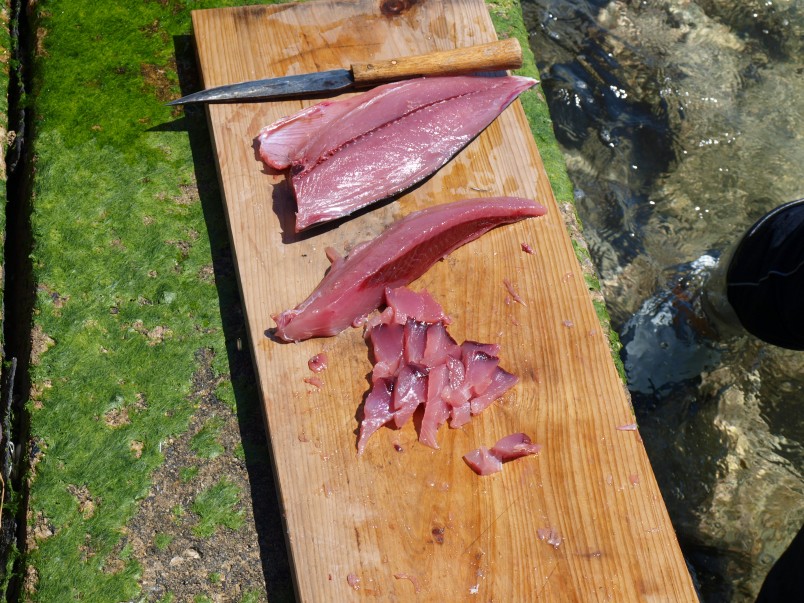 Fresh sushi caught just then.