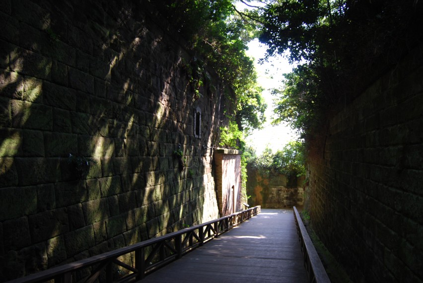 猿岛：没有猴子的猴岛