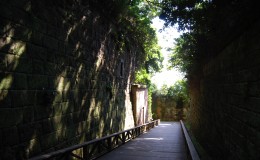 猿岛：没有猴子的猴岛