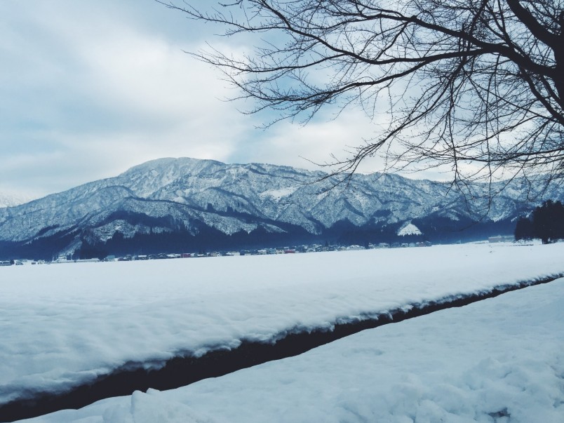 雪和拉面的终极组合