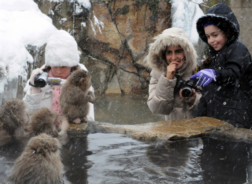 Nagano monkey tour
