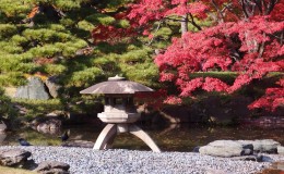 Autumn at Tokyo's Imperial Palace