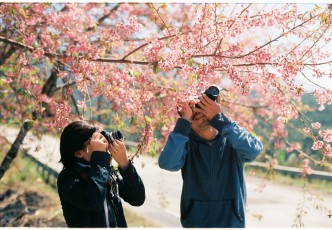 How to Choose the Best Sakura Spots for Photography