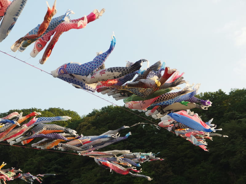 carp streamers
