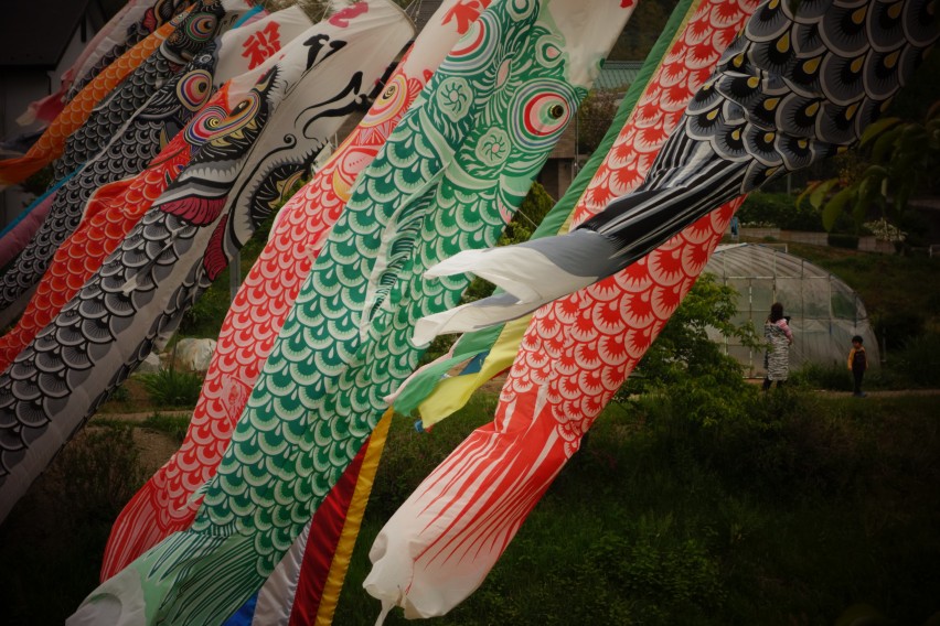 koinobori in shotengai
