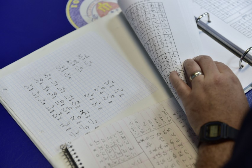 Learning the Japanese Language