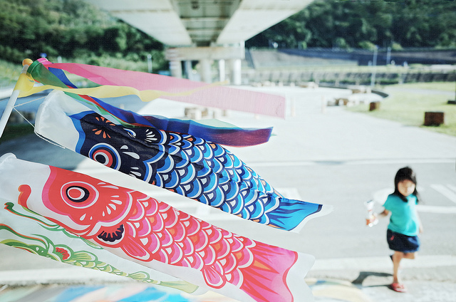 20993528694_8c663f1f70_z