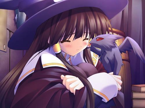 2476340307_cb52a100fb_o