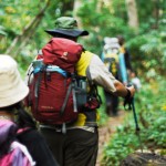 Hokkaido hikers beware of the great and the small