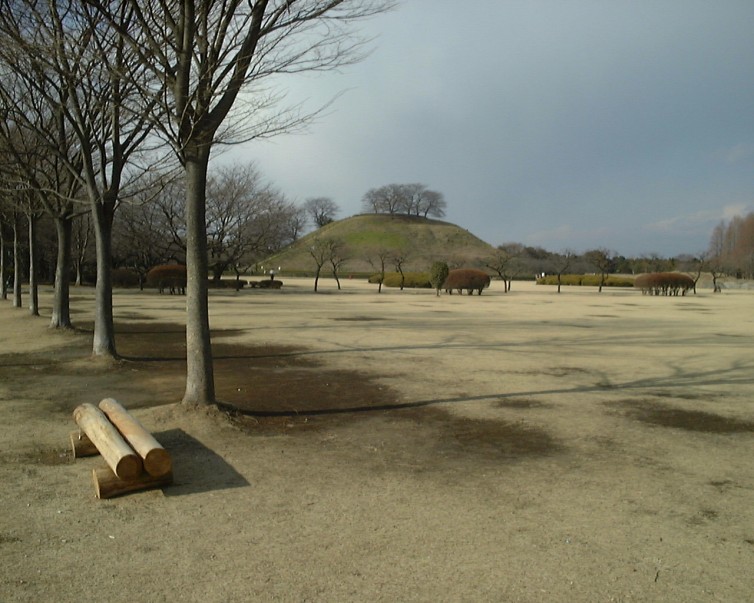 5971842259_cce6c868ab_o