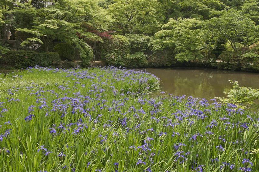 14434360265_33bb0ea5f4_k