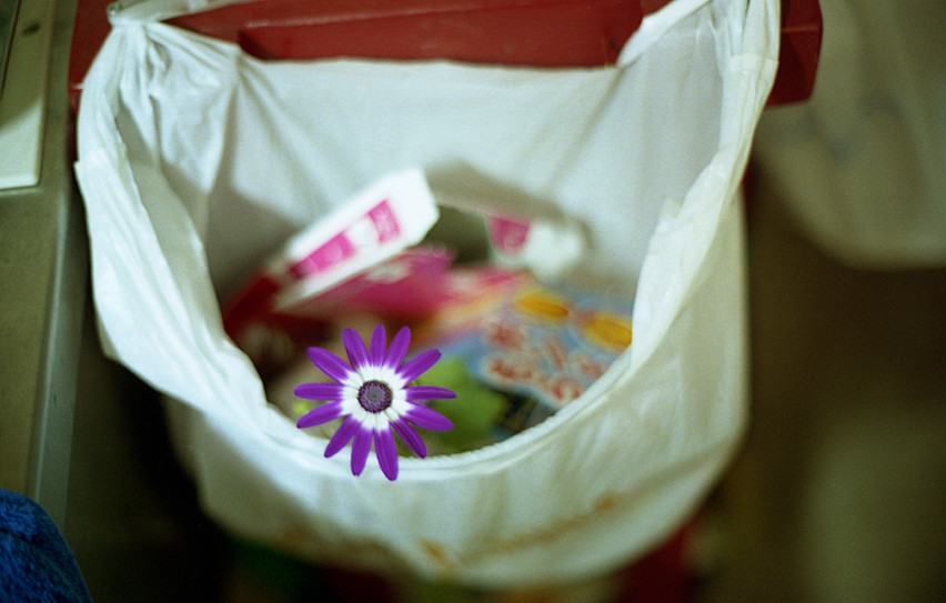 2383606049_7831c5f5fa_o