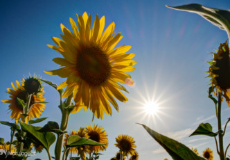 Beat the Heat: Japan’s Coolest Summer Retreats