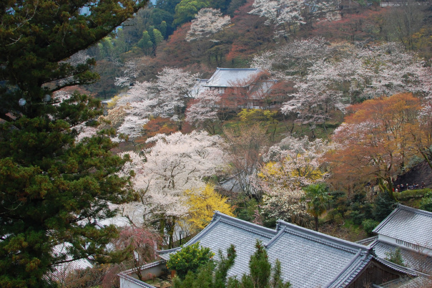 3434642510_47f99b7c52_b