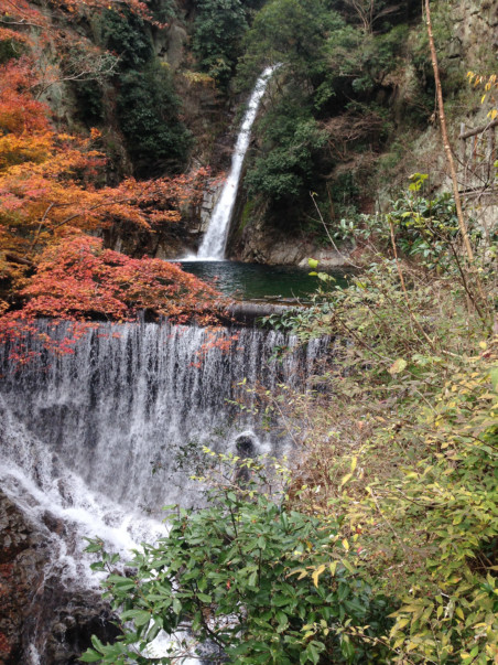 Changing hues with the approach of Autumn - Nunobiki Falls