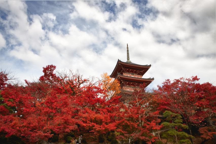 The view from below is equally mesmerizing