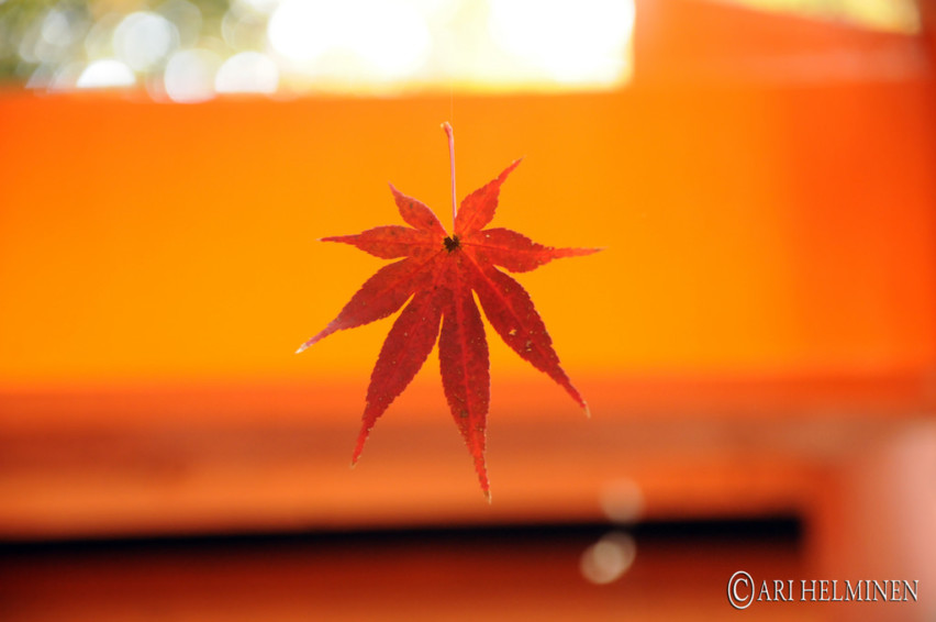 Fushimi Inari Shrine