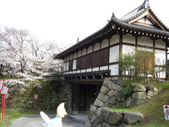 4630794842_86770c2706_o