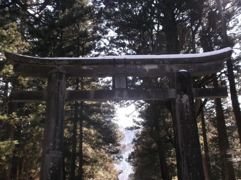 Torii gate among the trees