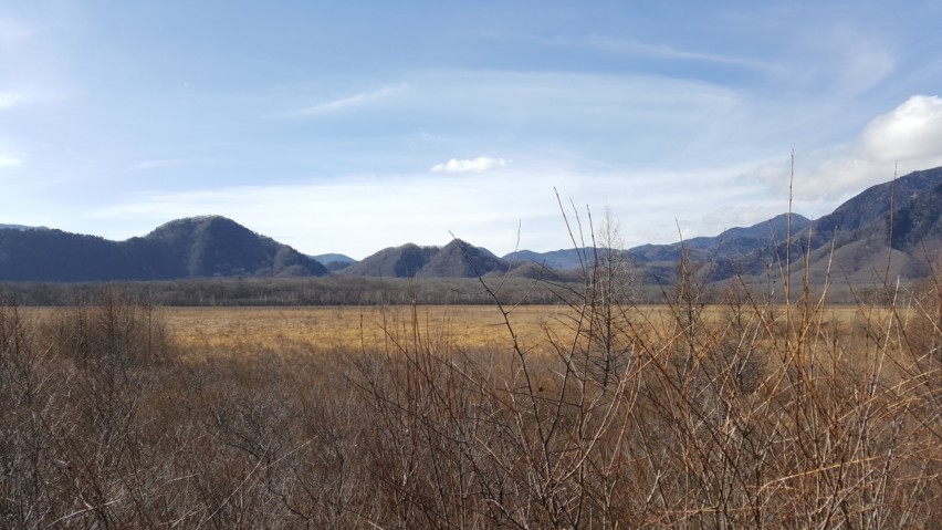 Senjogahara Marsh in Nikko National Park in mid-November.