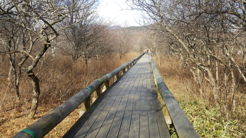 View of the mountains and marshland from the hiking trail.