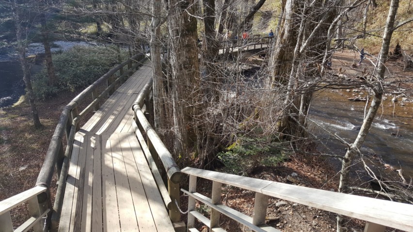 Track from Yudaki Falls into the woods.