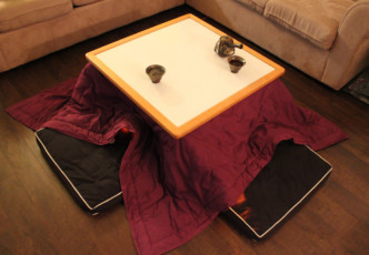 How to Beat the Winter Blues in Japan