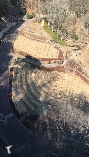 View from the top - flower beds waiting for Spring