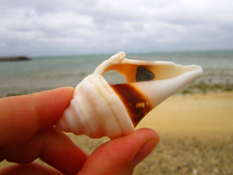 fun-times-at-the-tonaki-beach