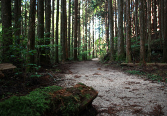 Hiking in Magome: An Incredible Journey