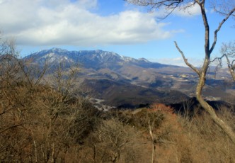 Mt. Nakimushi: A Hidden Trail in Nikko