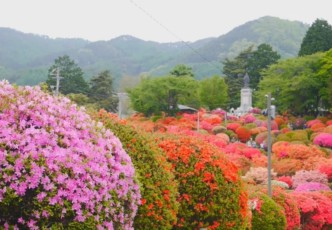 Tsurumine Park: Okaya’s Azalea Heaven in Nagano