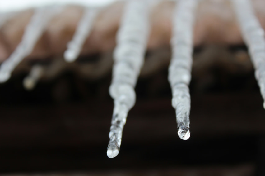 Close-up of icicles