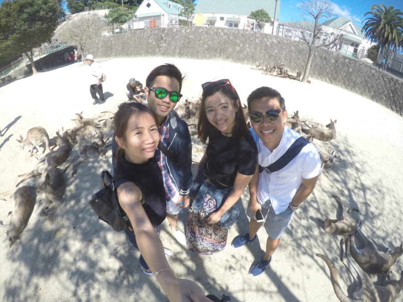  Hanging out with my friends and some sleepy kangaroos