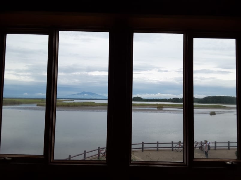 View from the birdwatching building