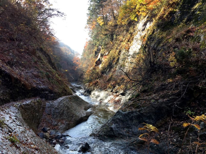 Gorge trail near Omoshiroi Yama Kogen in mid November (slightly past peak)