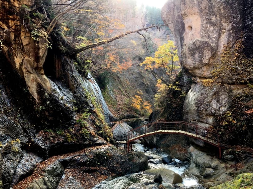 Small bridge in gorge