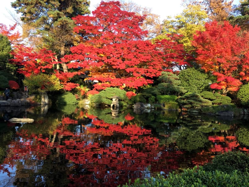 Yamagata’s Momiji Koen in mid November