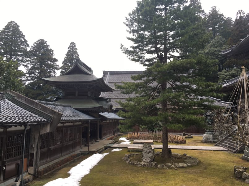 The temple grounds of Eiheiji, with a tall pine growing in the courtyard