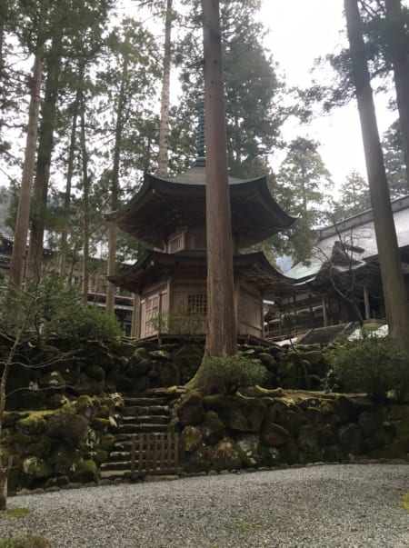 A small pagoda among the pines