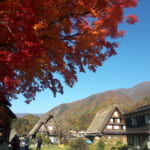 Shirakawa-go and Takayama: Thatched Roof Heritage Houses, Autumn Leaves, and Morning Mountains