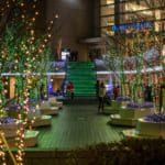 5 Christmas Activities in Okinawa